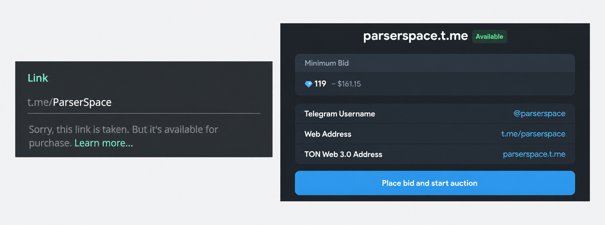 Telegram says the Parser Space username is taken on the left. Fragment offers the same name at a minimum bid of 119 TON on the right.
