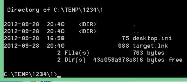 The desktop.ini and target.lnk files inside the folder